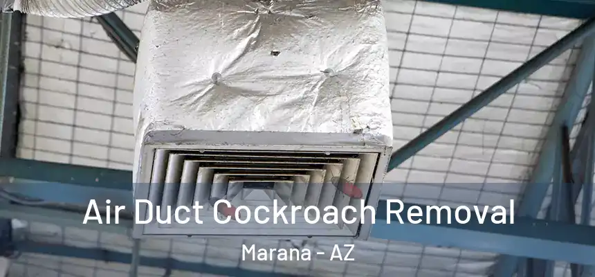 Air Duct Cockroach Removal Marana - AZ