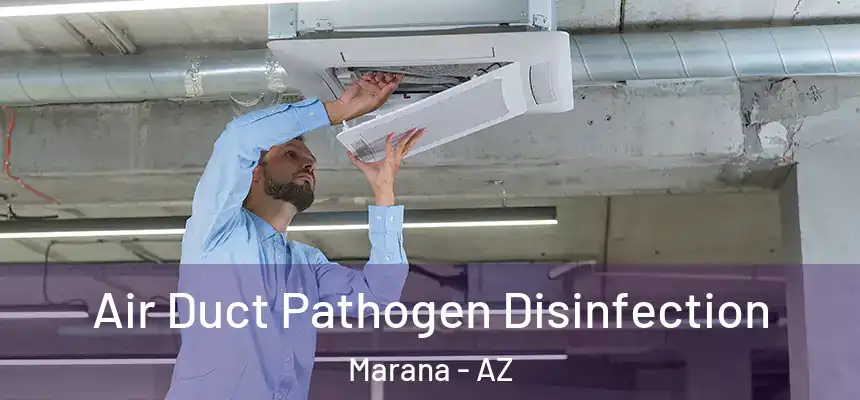  Air Duct Pathogen Disinfection Marana - AZ