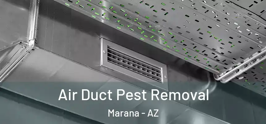  Air Duct Pest Removal Marana - AZ