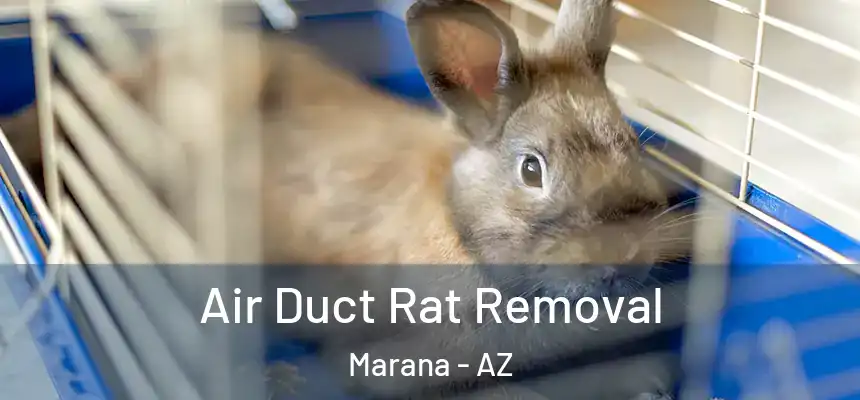 Air Duct Rat Removal Marana - AZ