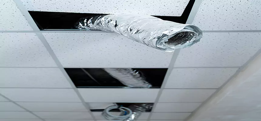 Our Air Duct Pet Hair Removal Services in Marana, AZ