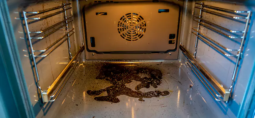 Our Dryer Vent Mold Cleaning Services in Marana, AZ