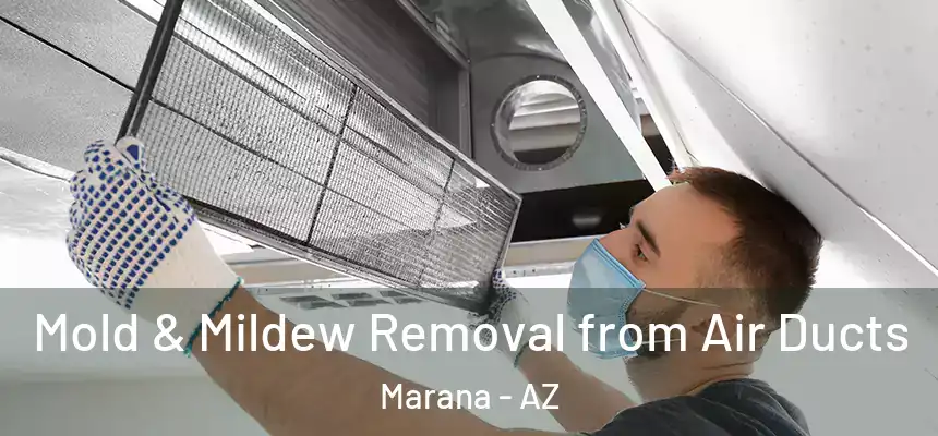  Mold & Mildew Removal from Air Ducts Marana - AZ