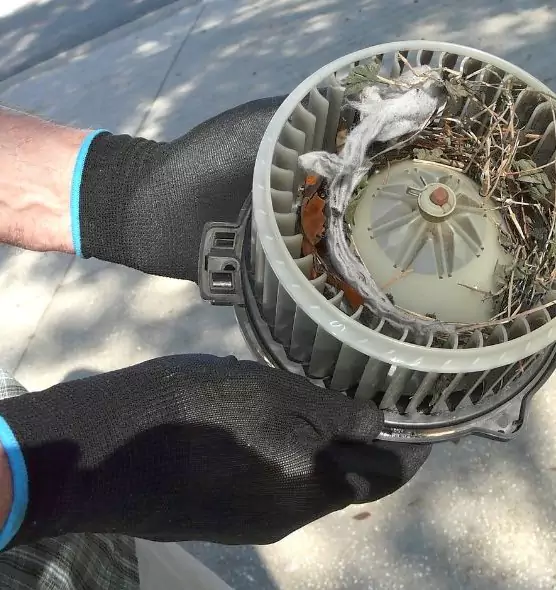 About Air Duct Rat Removal in Marana, AZ