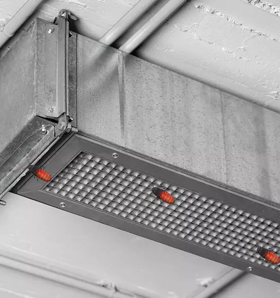 Affordable Insect Removal from Air Ducts in Marana, AZ