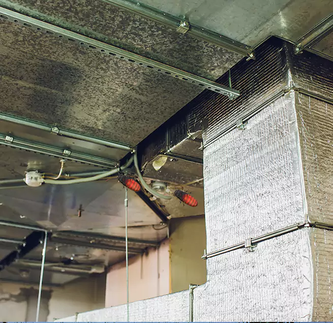 Why Homeowners & Businesses Trust Us in Marana, AZ?